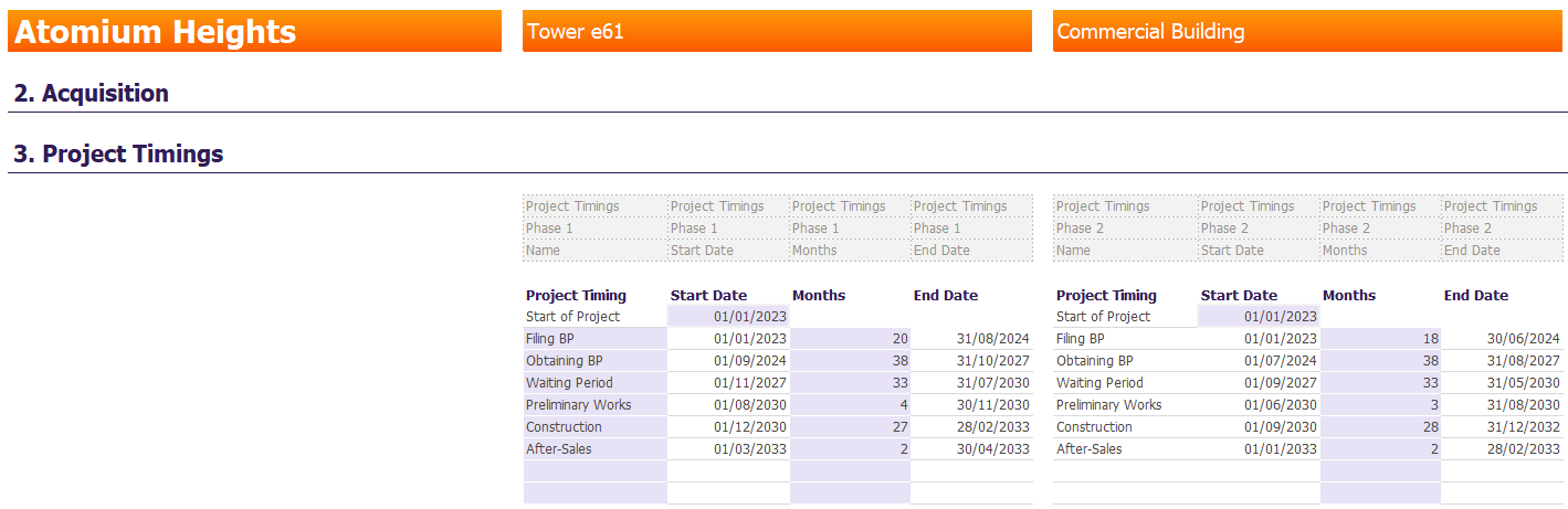 project timing feasibility template vena 