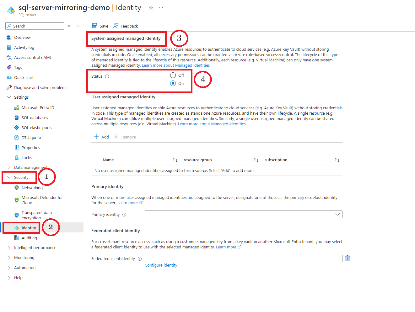 Image5-SqlServerIdentityDemo