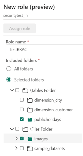 Microsoft Fabric one lake data access roles