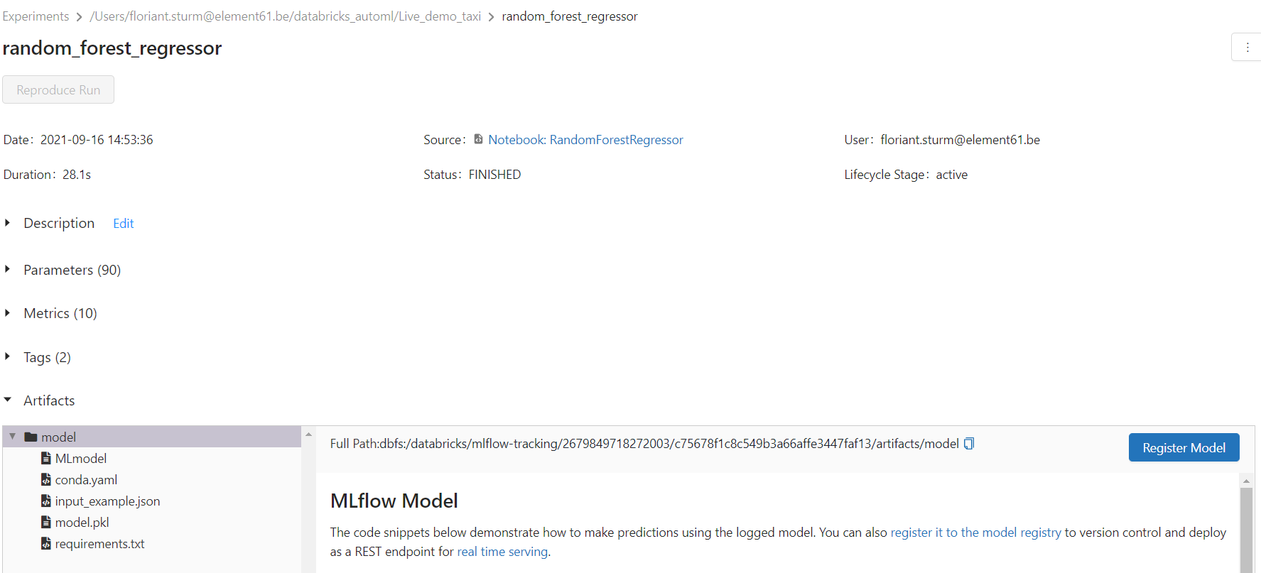 Databricks model details screenshot