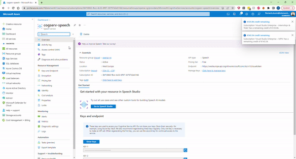 GIF - Demo of real-time transcription