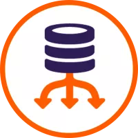 Reference & Master data