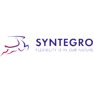 Syntegro logo