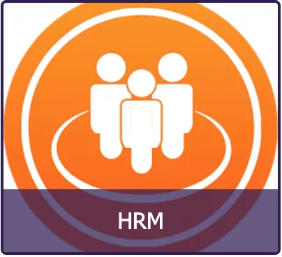 Screenshot HRM Analytics